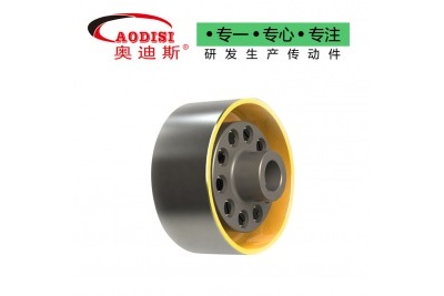 AODISI TLL型帶制動(dòng)輪彈性套柱銷聯(lián)軸器